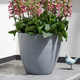 Beton Round Planter Indoor m�anyag kerti vir�gcser�p vil�gos sz�rke