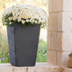 Rattan Planter M 55,4 L m�anyag kerti vir�gl�da antracit sz�rke