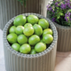 Large Cylinder Planter m�anyag kerti vir�gl�da ez�st sz�rke