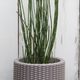 Medium Cylinder planter m�anyag kerti vir�gl�da ez�st sz�rke