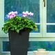 Rattan Planter S 23,6 L m�anyag kerti vir�gl�da antracit sz�rke