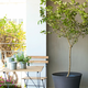 Conic Planter m�anyag kerti vir�gl�da 56,5 L antracit sz�rke
