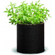 Medium Cylinder planter m�anyag kerti vir�gl�da whiskey barna sz�nben
