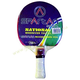 Ping pong �t� Cobra SP.312