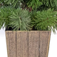 Everdale Mini Pine m�feny� 60 cm