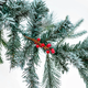 Winter Garland - m�feny� girland magyal �s h�permet dekorral 270 cm
