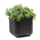 Cube Planter M m�anyag kerti vir�gl�da antracit sz�rke