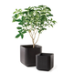 Cube Planter L m�anyag kerti vir�gl�da antracit sz�rke