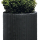 Medium Cylinder planter kerti m�anyag vir�gl�da antracit sz�rke