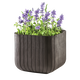 Cube Planter L m�anyag kerti vir�gl�da whiskey barna