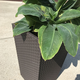 Rattan Planter S 23,6 L m�anyag kerti vir�gl�da whiskey barna