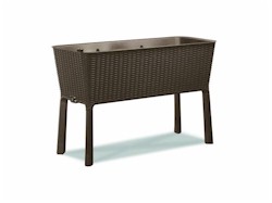 Easy Grow vir�gtart�