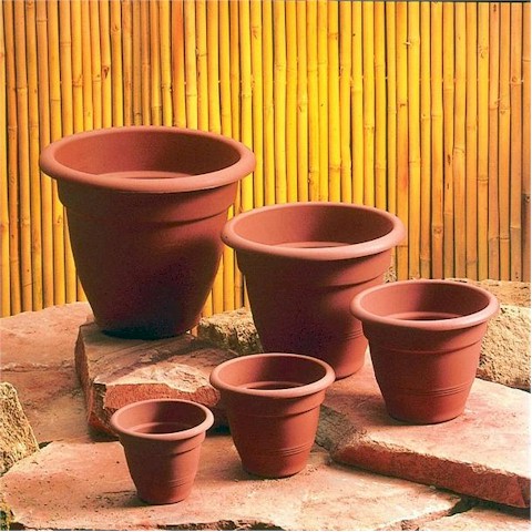 M�anyag kerti Vir�gcser�p Sydney 70+ 76325