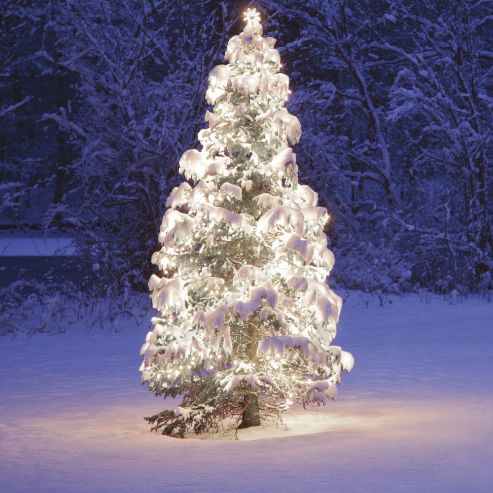 K�lt�ri toldhat� f�nyf�z�r, hideg feh�r, 50 LED, 5 m