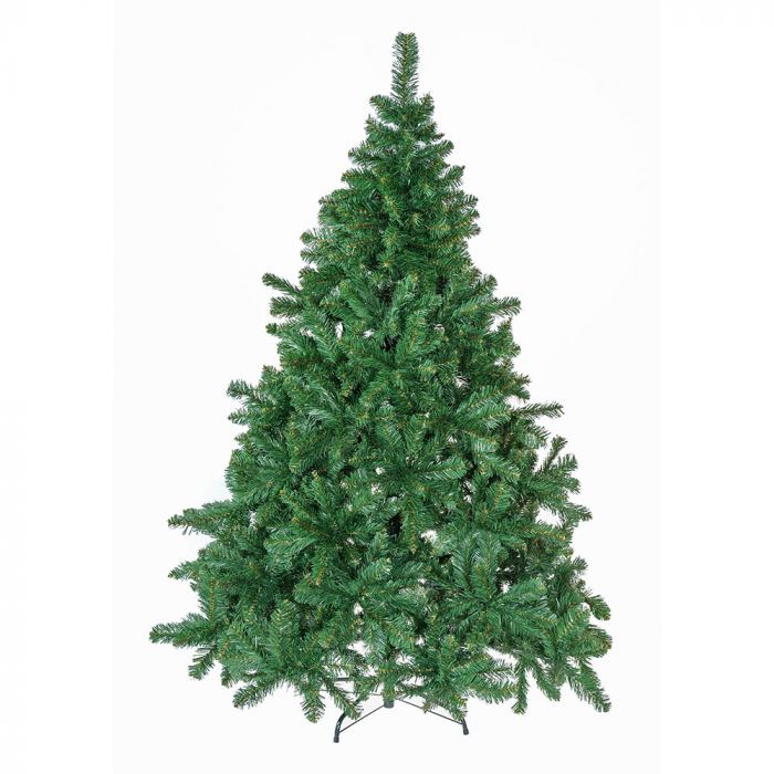 Norway Spruce m�feny� 300 cm