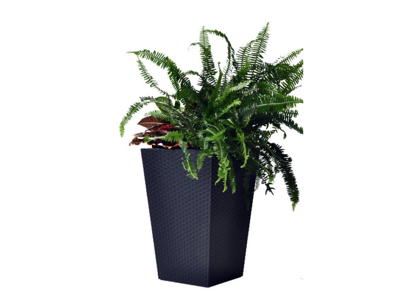 Medium bali m�anyag kerti vir�gtart� grafit sz�rke