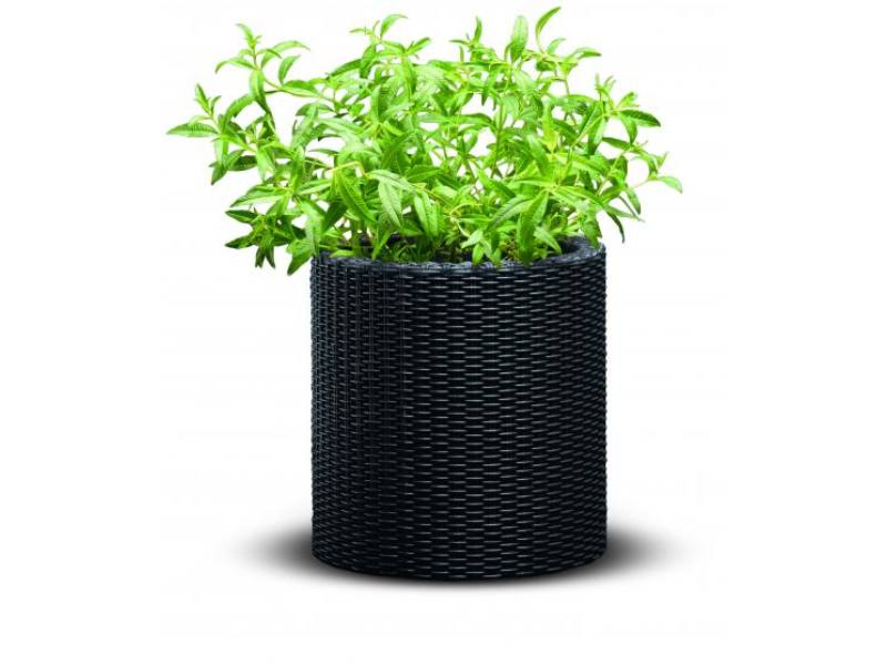 Small Cylinder planter m�anyag kerti vir�gl�da antracit sz�rke